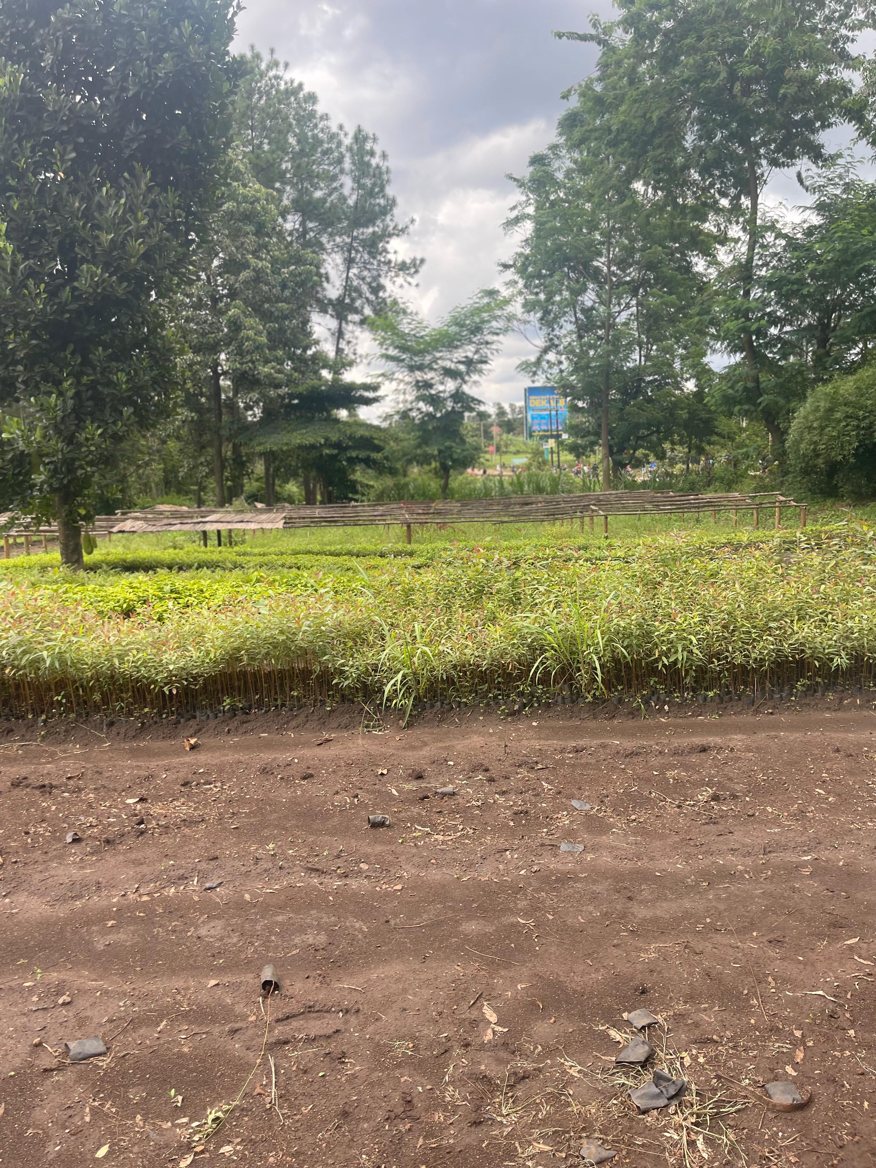 Munyona Foundation Gallery Image 57